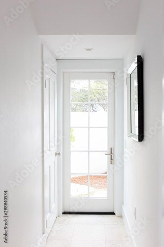 White French Paned Door