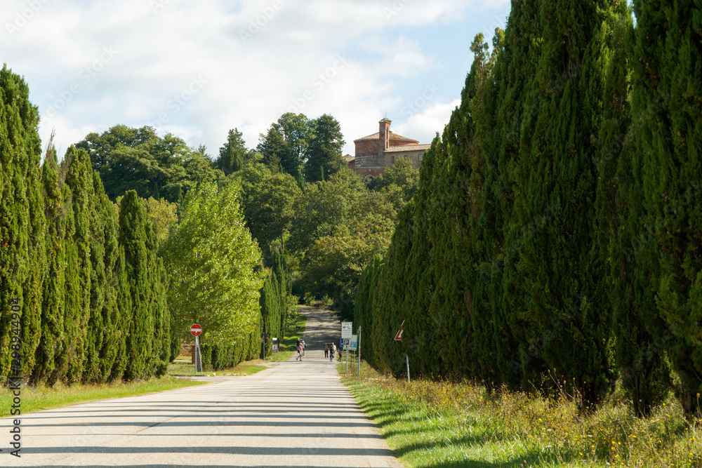 Road leading to Church and Chapel of Montesiepi, Tuscany, Italy