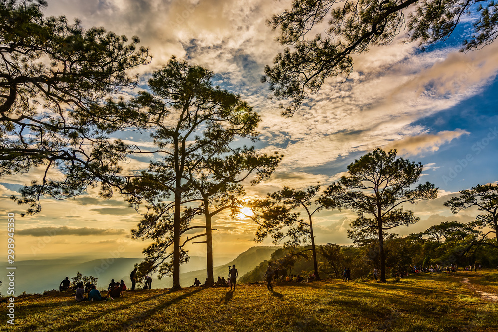 Beautiful sunsets with sky and golden clouds at Mak dook cliff. Phu Kradueng National Park, which is famous tourist destination in Thailand.