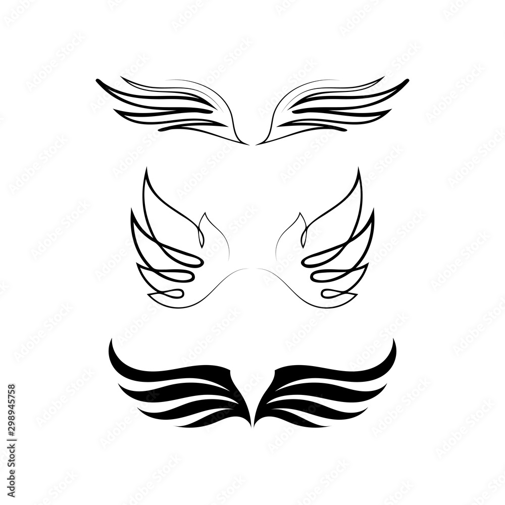 falcon vector drawing of wings