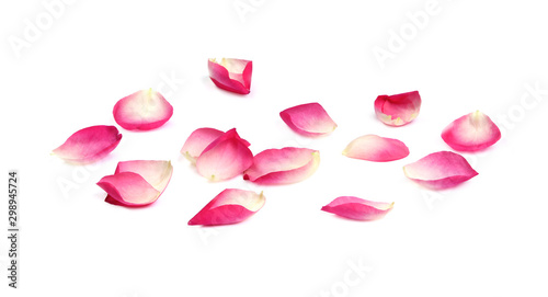 Fototapeta Naklejka Na Ścianę i Meble -  Pétales de rose