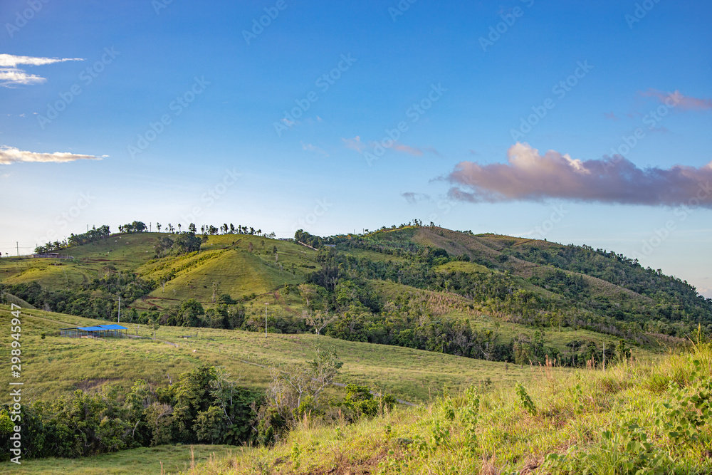 Orocovis, Puerto Rico countryside. Campos de Orocovis en Puerto Rico