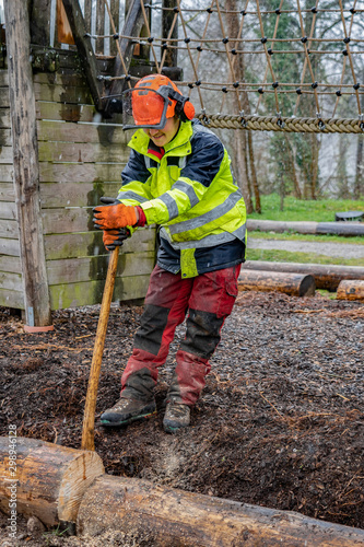 Young loggers holding a tree trunk for cutting it with chain saws in rainy day.