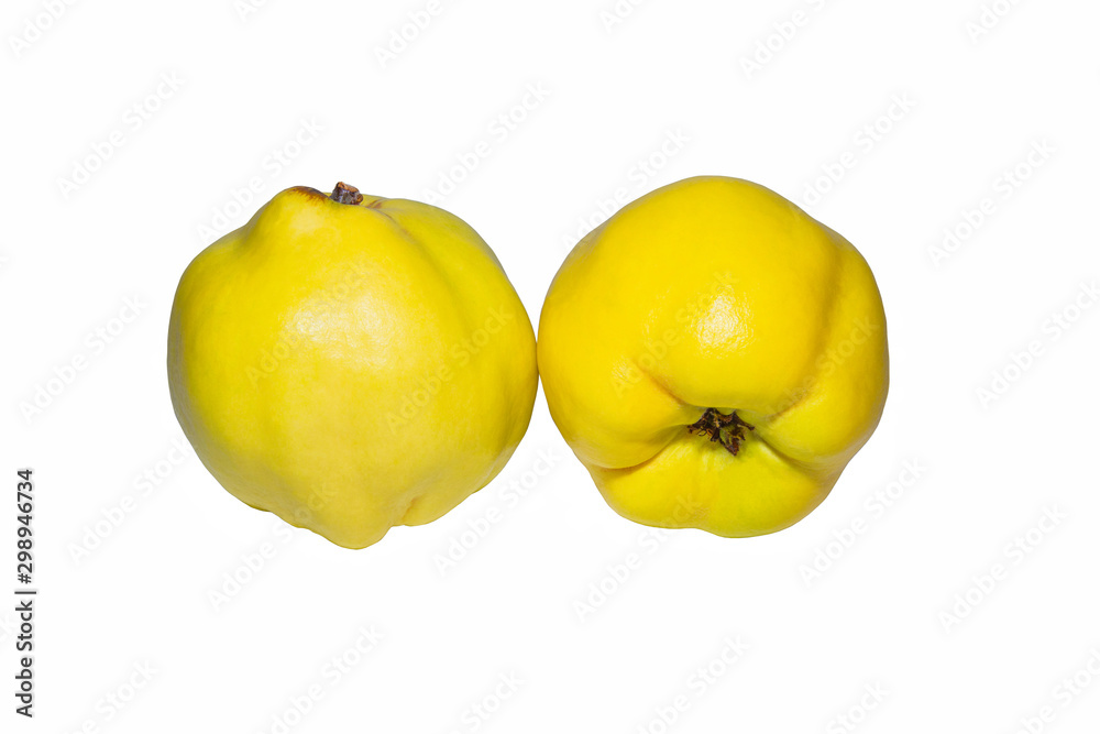 Two ripe Quince Cydonia oblonga. Quince on the white background. Quince closeup.