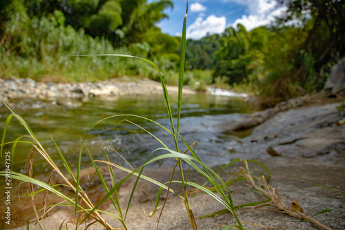 Fototapeta Naklejka Na Ścianę i Meble -  River in Jayuya, Puerto Rico at La Piedra Escrita Petroglyphs Site