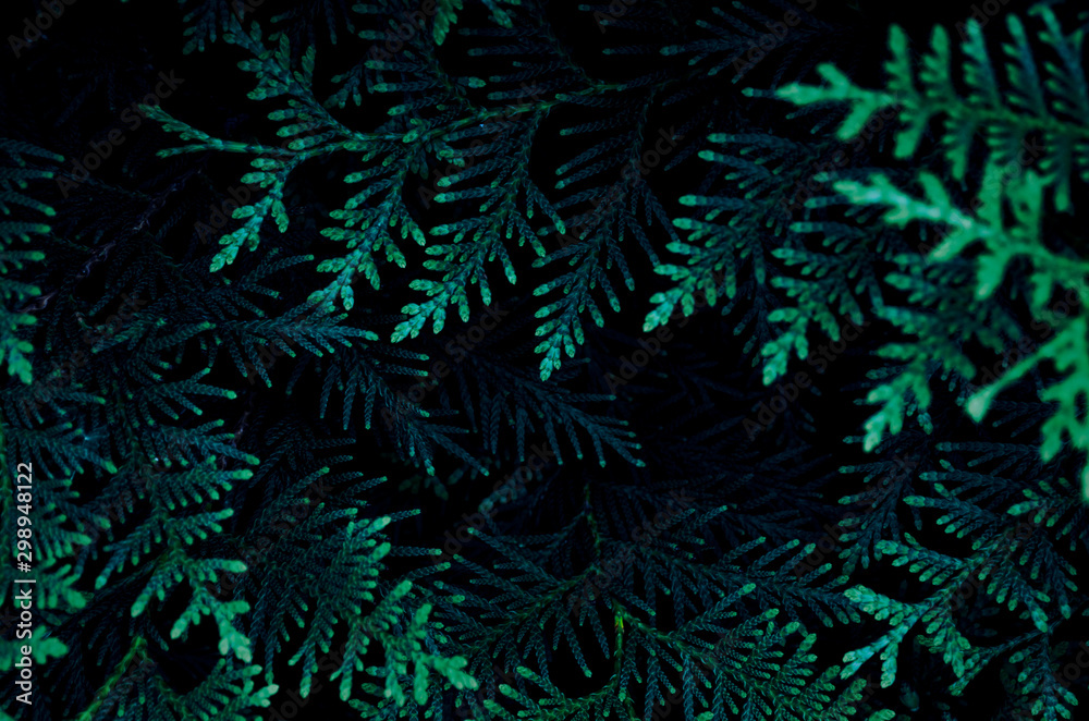 abstract green background abstract green background