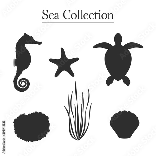 Vector silhouettes of seahorse  sea turtle  algae  mollusc shell  sponge and starfish. Isolated set of 6 objects on white background. Fully editable sea icons collection for your own projects.