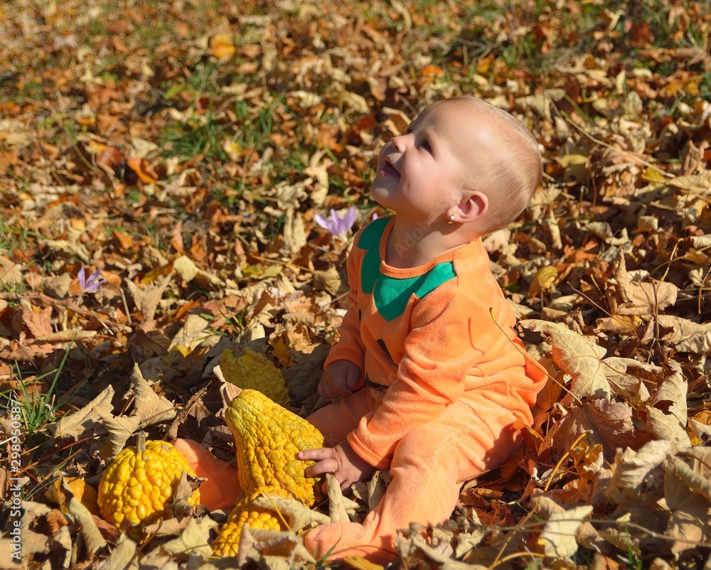 little baby girl in autumn park on sunny warm october little baby girl in autumn park on sunny warm october