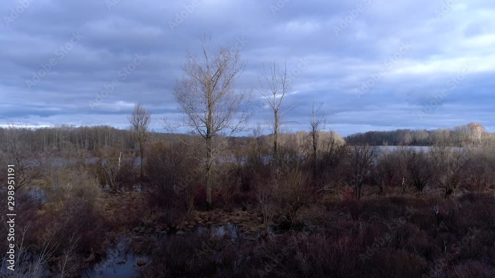 aerial view of the flooded floodplain