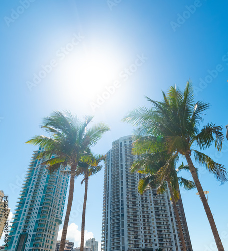 Sun shining over downtown Miami's skyscrapers © Gabriele Maltinti