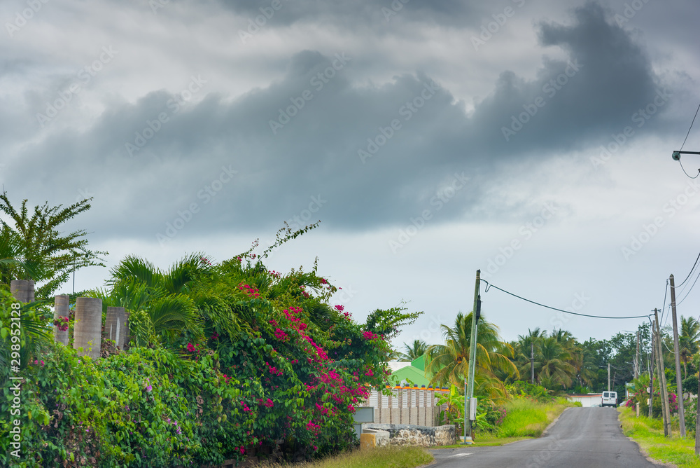 Grey sky over a country road in Guadeloupe