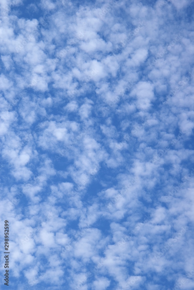 Weiße Schäfchenwolken - Wolkenbild - blauer Himmel Weiße Schäfchenwolken - Wolkenbild - blauer Himmel