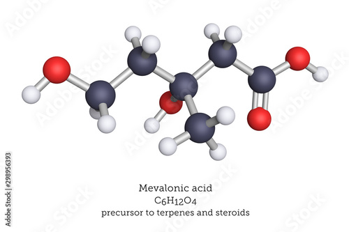 Mevalonic acid molecular model. Mevalonic acid Mevalonic acid is a precursor in the biosynthetic pathway that produces terpenes and steroids. photo
