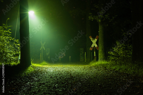 Railroad Crossing in foggy Forest, foggy walkway in forest