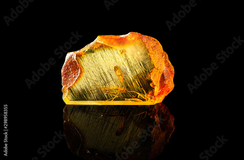 Fényképezés Amazing piece of Baltic amber containing part of an ancient fossilized dragonfly