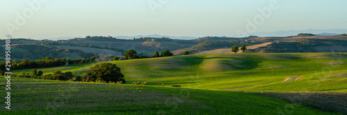 Beautiful landscape in Tuscany - wave hills covered green grass. Tuscany, Italy