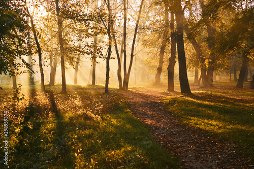 Amazing autumn landscape on a foggy morning with beautiful rays of the sun.