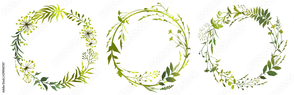Zestaw ziół łąka koło kwiatowy rama. Kwiatowe zielone wieńce. Projektowanie elementów Ilustracji wektorowych. <span>plik: #298961787 | autor: VETOCHKA</span>