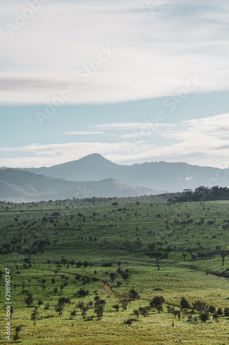 View of beautiful Kenyan Safari scenery. Cloud covered mountains in the background, green plain with trees and small road in the foreground. Tsavo West National Park, Kenya -Image