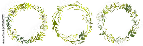 Fototapeta Zestaw ziół łąka koło kwiatowy rama. Kwiatowe zielone wieńce. Projektowanie elementów Ilustracji wektorowych.