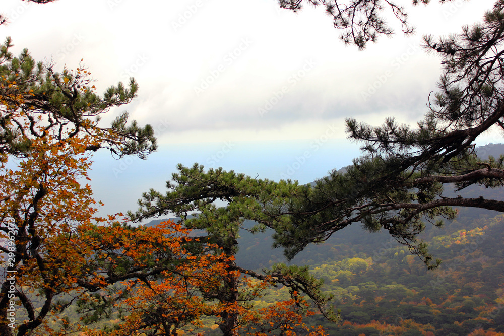 Mountain autumn landscape