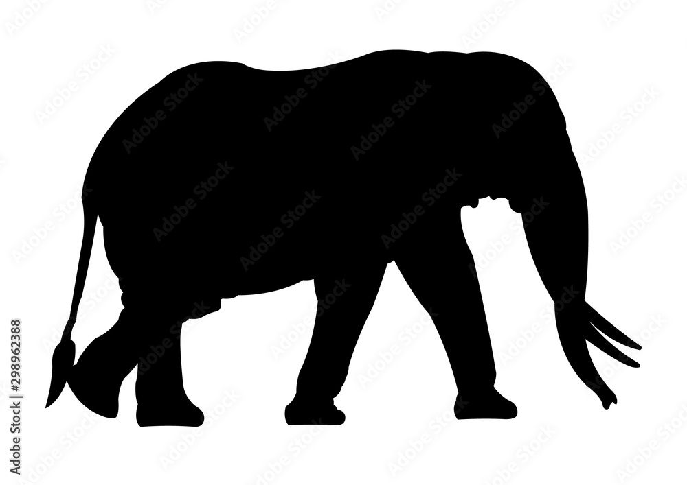 Elephant silhouette vector illustration isolated Elephant silhouette vector illustration isolated