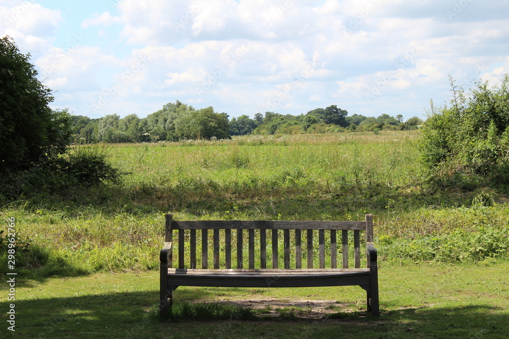 bench in the park