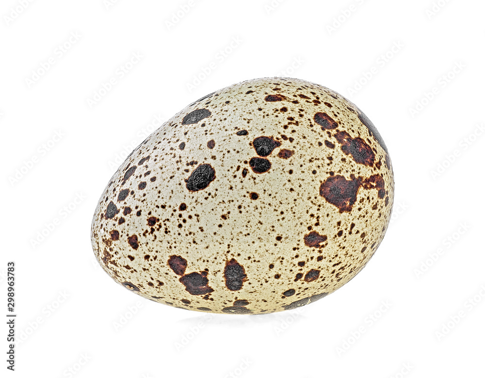 One quail egg isolated on a white background