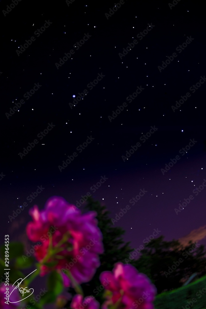 Cielo estrellado Cielo estrellado