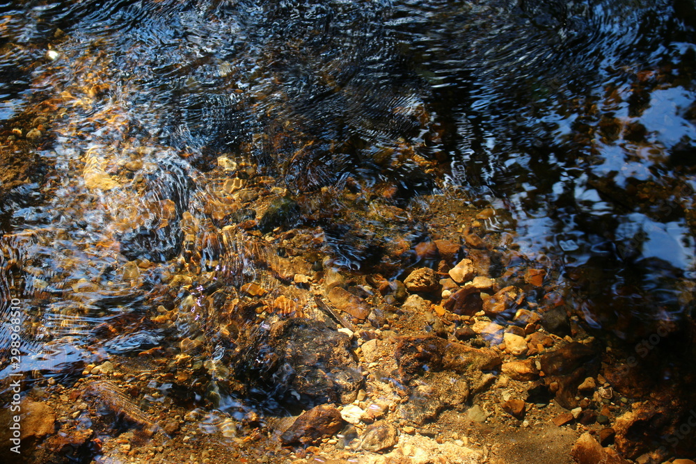 View of the water in a stream with a beautiful rocky bottom in shallow water