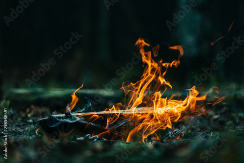 Closeup view of a camp fire - Dark forest background during a cold autumn evening