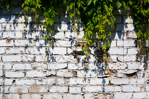 white old brick wal photo