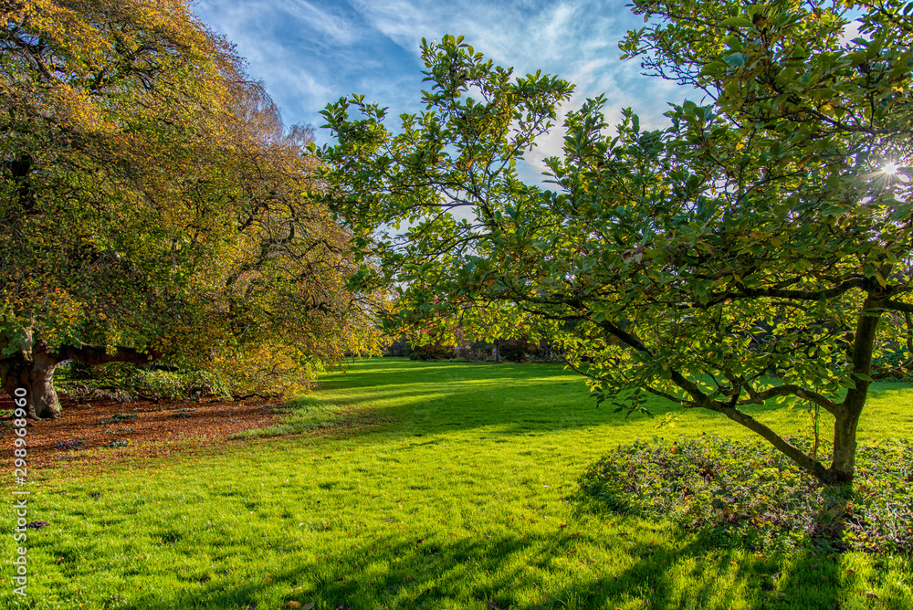 Fototapeta premium beautiful autumn trees and gardens by the lake