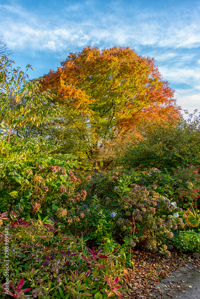 beautiful autumn trees and gardens by the lake beautiful autumn trees and gardens by the lake