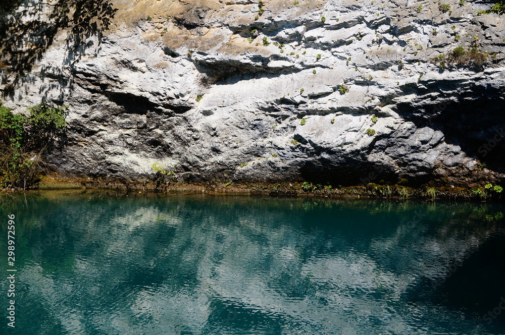 reflection of trees in water