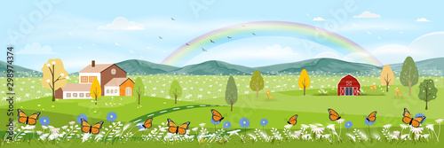 Cute cartoon panorama landscape of Spring field, Farm house and butterfly flying around wild flowers, Panoramic view of farm field in village with rainbow after and blue sky.