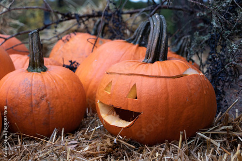 Halloween pumpkins scary creepy funny things for halloween theme 4