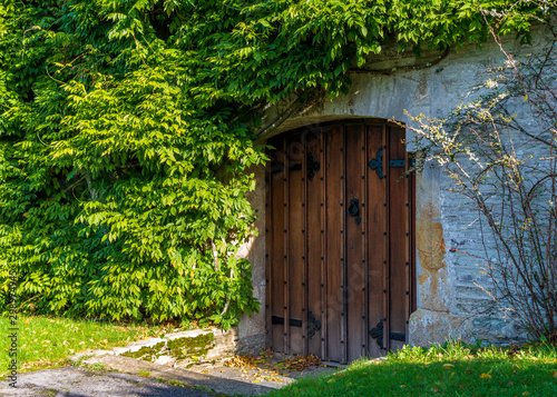 Rustic Old Wooden Door on an Ancient Abbey in Devon, Covered in Foliage photo