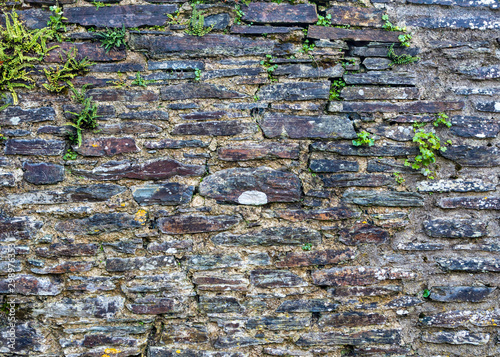 Ancient Grey/Red Stone Wall Texture, Taken at Ancient 700 Year Old Buckland Abbey in Devon photo