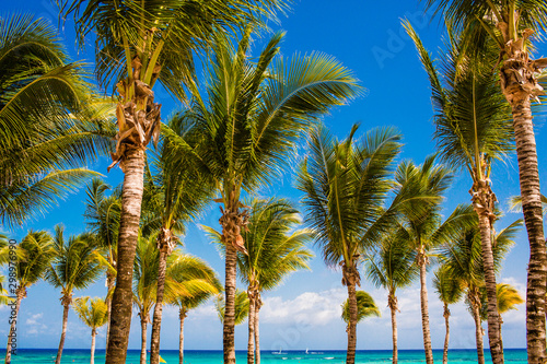 Tropical beach scene at all-inclusive resort in the Caribbean