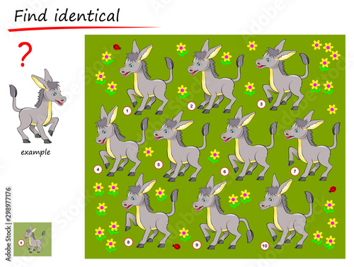Logical puzzle game for children and adults. Need to find donkey identical the example. Printable page for kids brain teaser book. Developing spatial thinking skills. IQ test. Vector cartoon image.