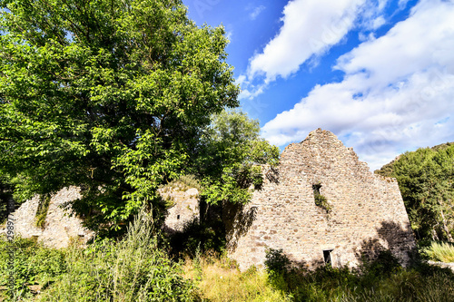 tree on the hill, photo as a background , in janovas fiscal sobrarbe , huesca aragon province photo