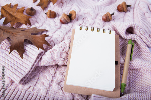 Sweater with dried leaves and notebook