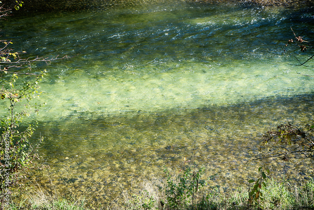 Upper Bavaria, Isarauen national Park - Isar river clear blue  and green waters running in protected environment, nature backgronund