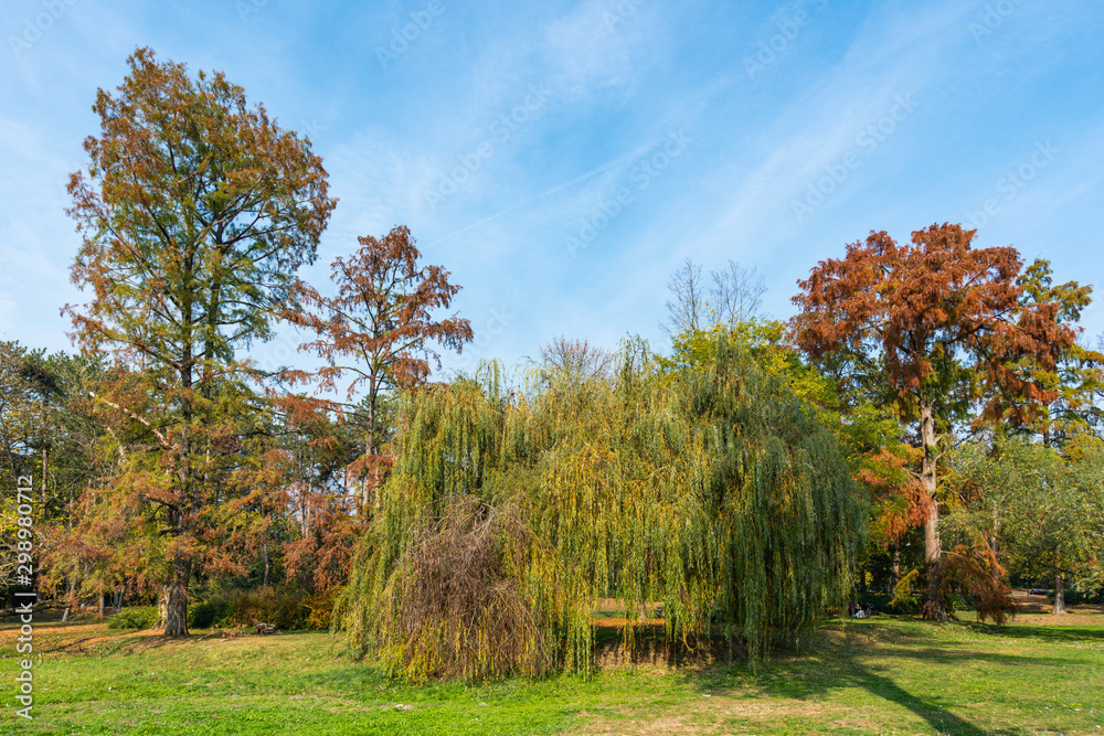 Novi Sad, Serbia - October 28, 2019: A beautiful park (Futoški park: serbian) in Novi Sad, Serbia in autumn.