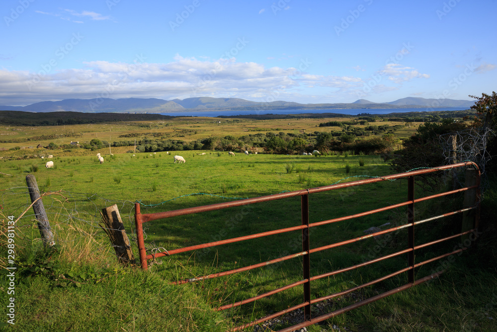 fence in a field in Ireland