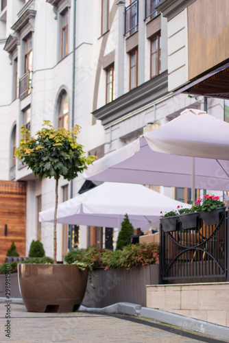 Beautiful view from the street to the cafe in the greenery of trees and flowers. Street cafe under a canopy in the morning.