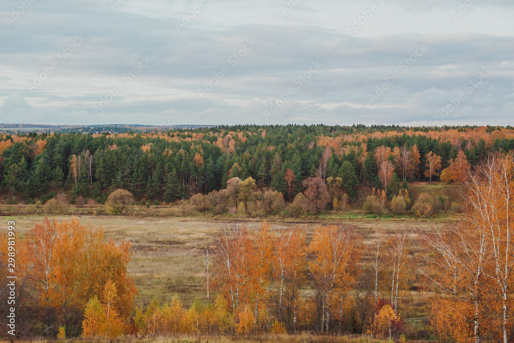 landscape of autumn forest and autumn field in the Moscow region 1