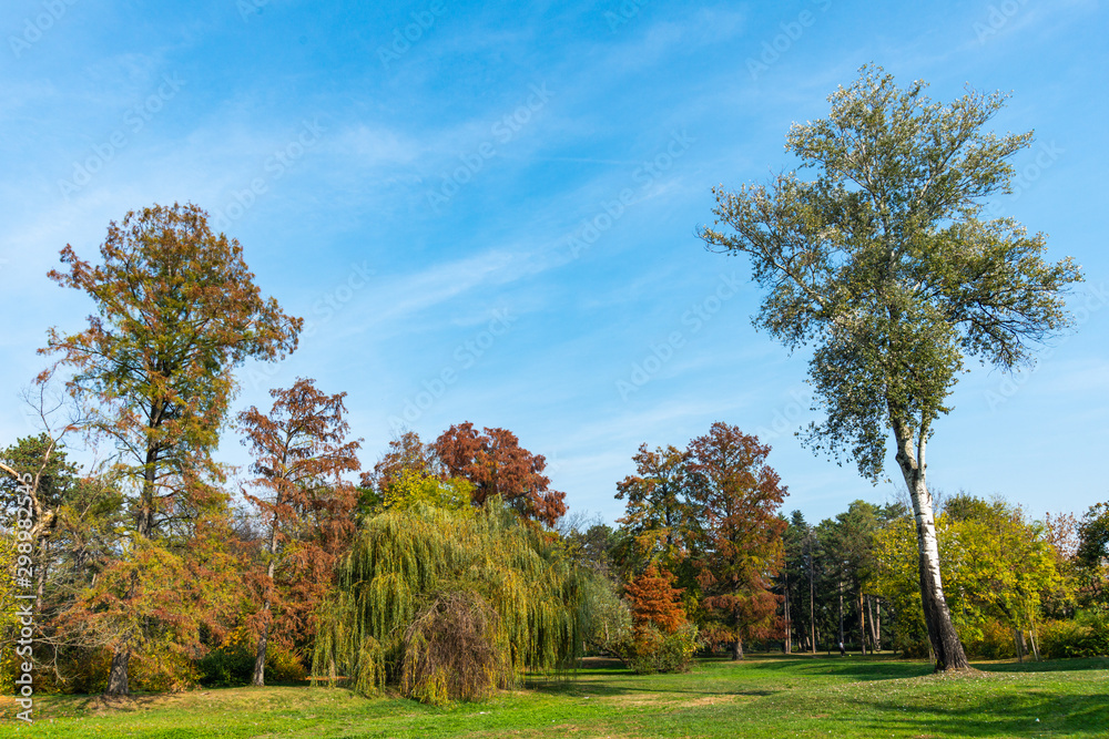 Novi Sad, Serbia - October 28, 2019: A beautiful park (Futoški park: serbian) in Novi Sad, Serbia in autumn. Novi Sad, Serbia - October 28, 2019: A beautiful park (Futoški park: serbian) in Novi Sad, Serbia in autumn.