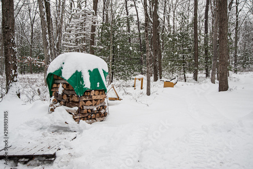 Firewood stacked for winter and covered under tarp